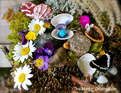 Magical Fairy Garden : www.theMagicOnions.com