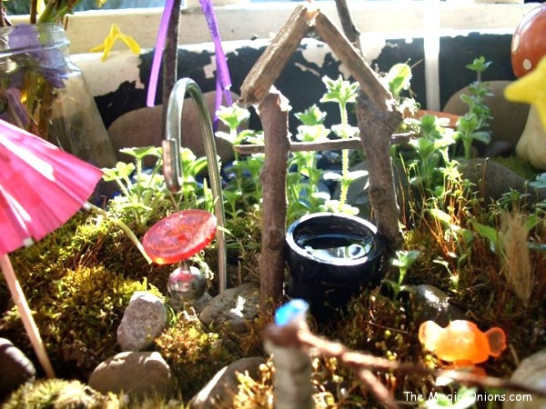 Enchanting Fairy Garden : Winner : 2013 Fairy Garden Contest
