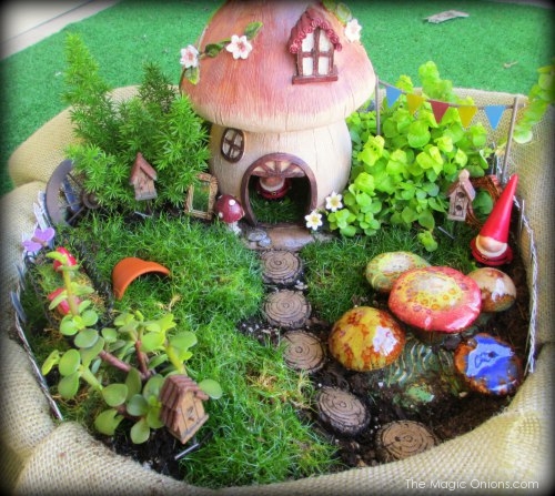 Gnome Fairy Garden : www.theMagicOnions.com