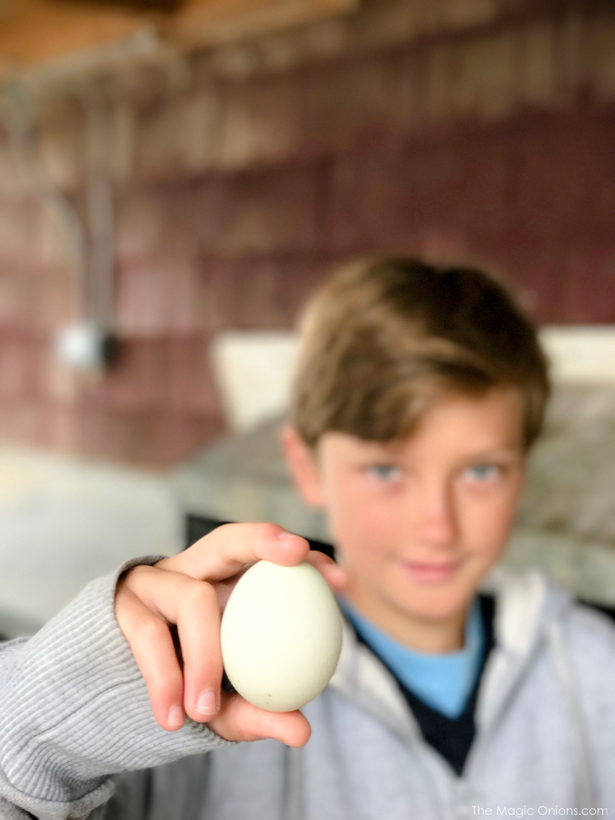 Photo of freshly laid egg