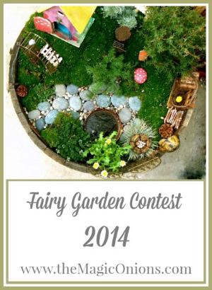 Fairy Garden Contest :  www.theMagicOnions.com