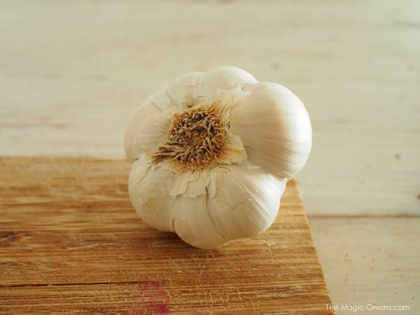 photo of organic garlic