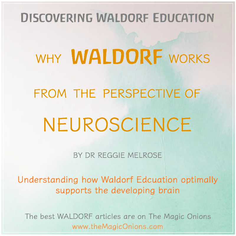 Why Waldorf Educations works from the perspective of Neuroscience from Dr Reggie Melrose on The Magic Onions Blog