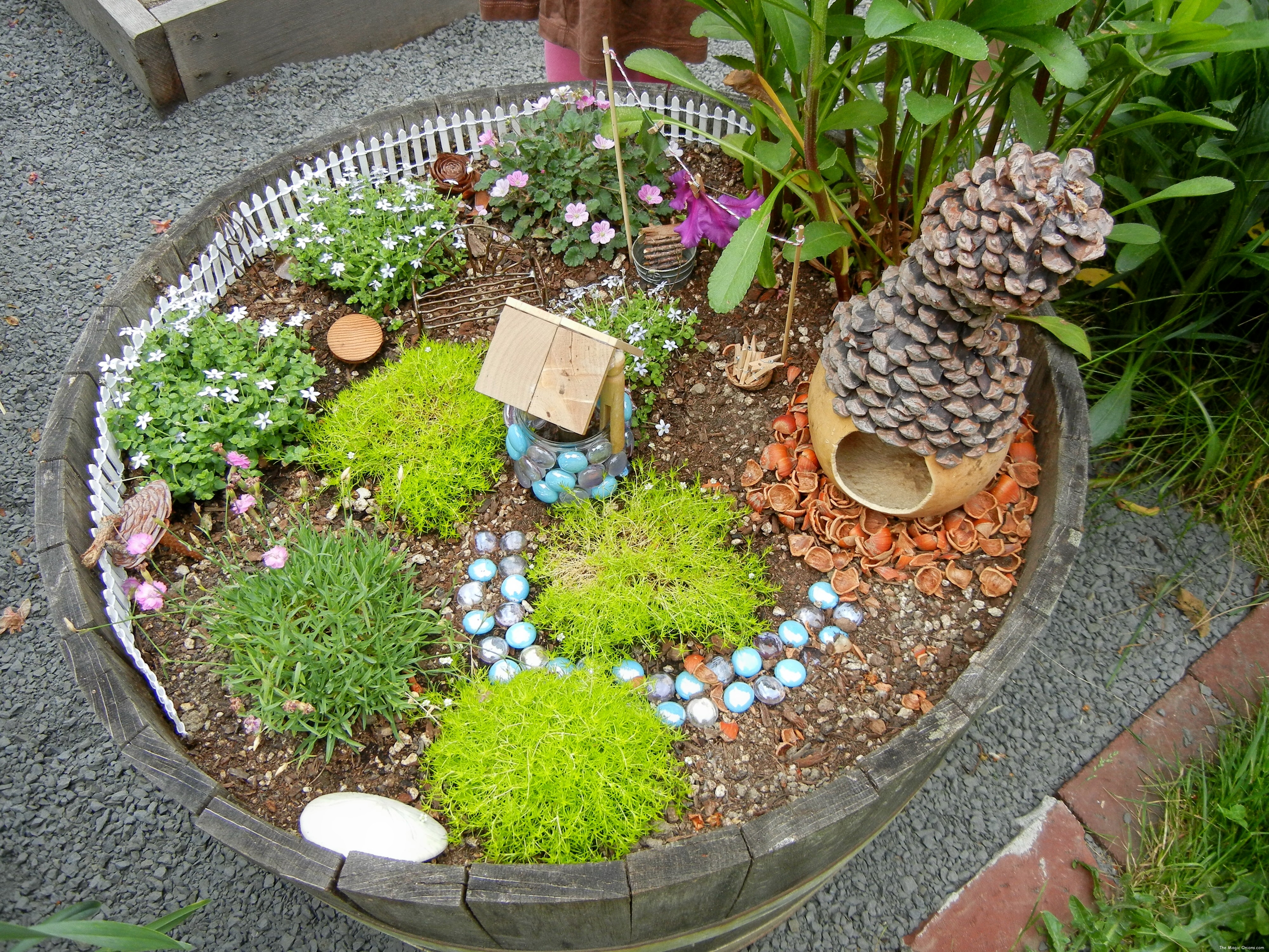 Fairy Gardens on The Magic Onions - www.theMagicOnions