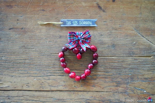 Cranberry Hearts Christmas Ornaments :: DIY Tutorials :: www.theMagicOnions.com
