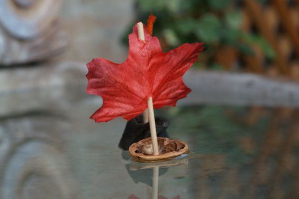 Make a Natural Leaf Boats : www.theMagicOnions.com