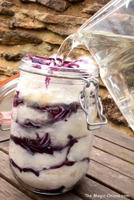 Natural Dye using the Sun -  Red Cabbage - www.theMagicOnions.com
