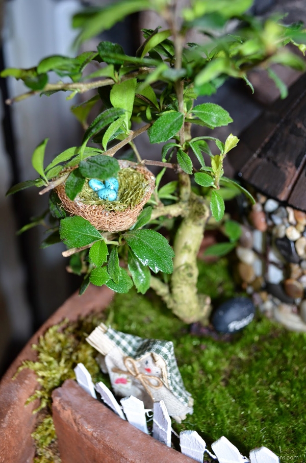 Little Nest in a Bonzi Tree: Fairy Garden : the Magic Onions.com