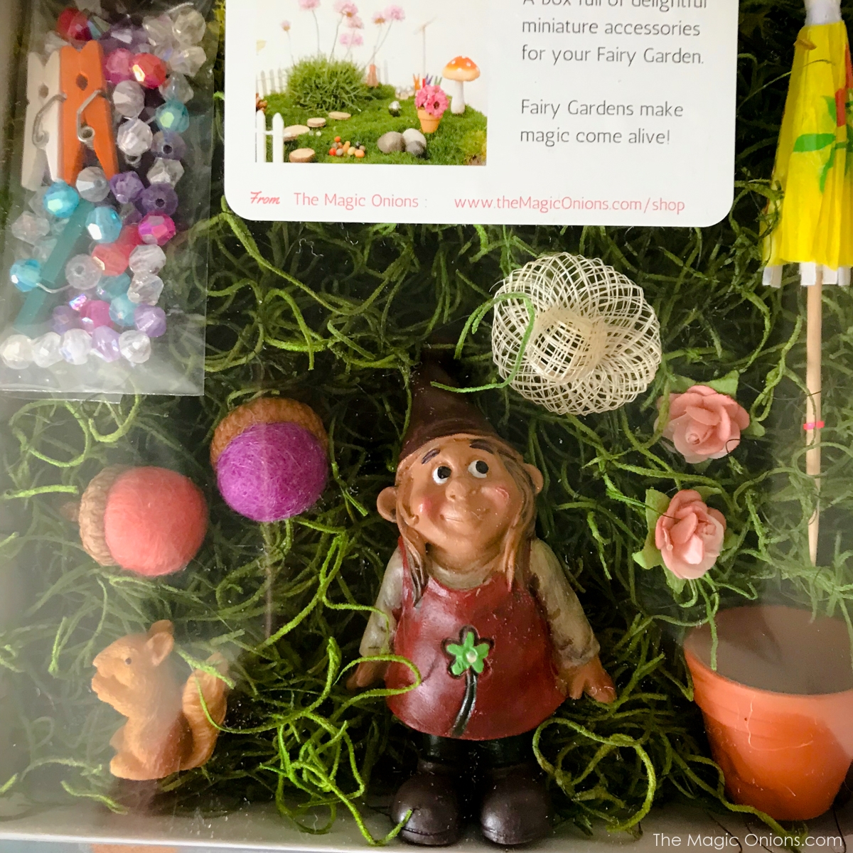 Fairy Garden Kit from The Magic Onoins - www.theMagicOnions.com