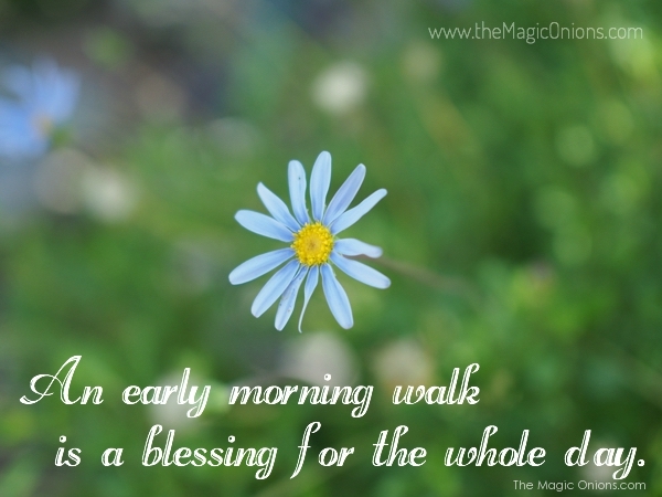 Photo of an early morning walk is a blessing for the whle day - Henry David Thoreau Quote
