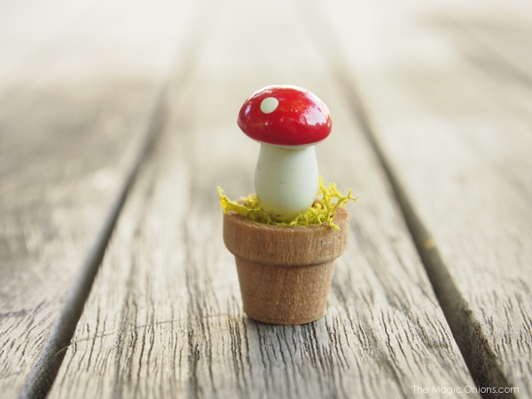 Photo of a Mini Fairy Garden Toadstool Pot Accessory