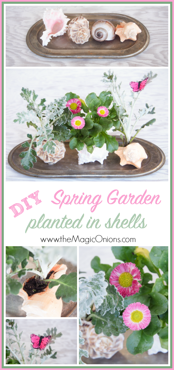 Plant a Shell Garden for Spring :: from The Magic Onions Bog