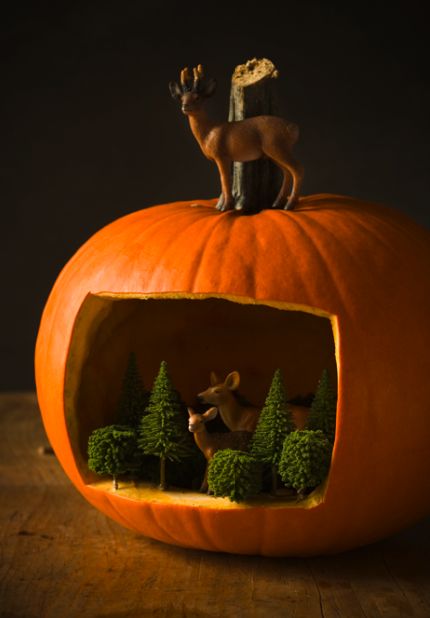 Halloween Pumpkin Woodland Scene : www.theMagicOnions.com