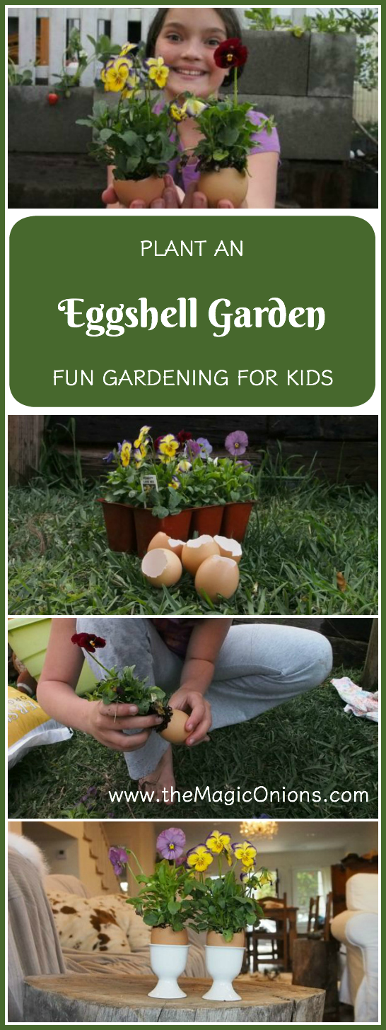 Plant an EGGSHELL GARDEN. This is such a fun gardening activity for KIDS. And, the flowers in the eggshells look so CUTE!