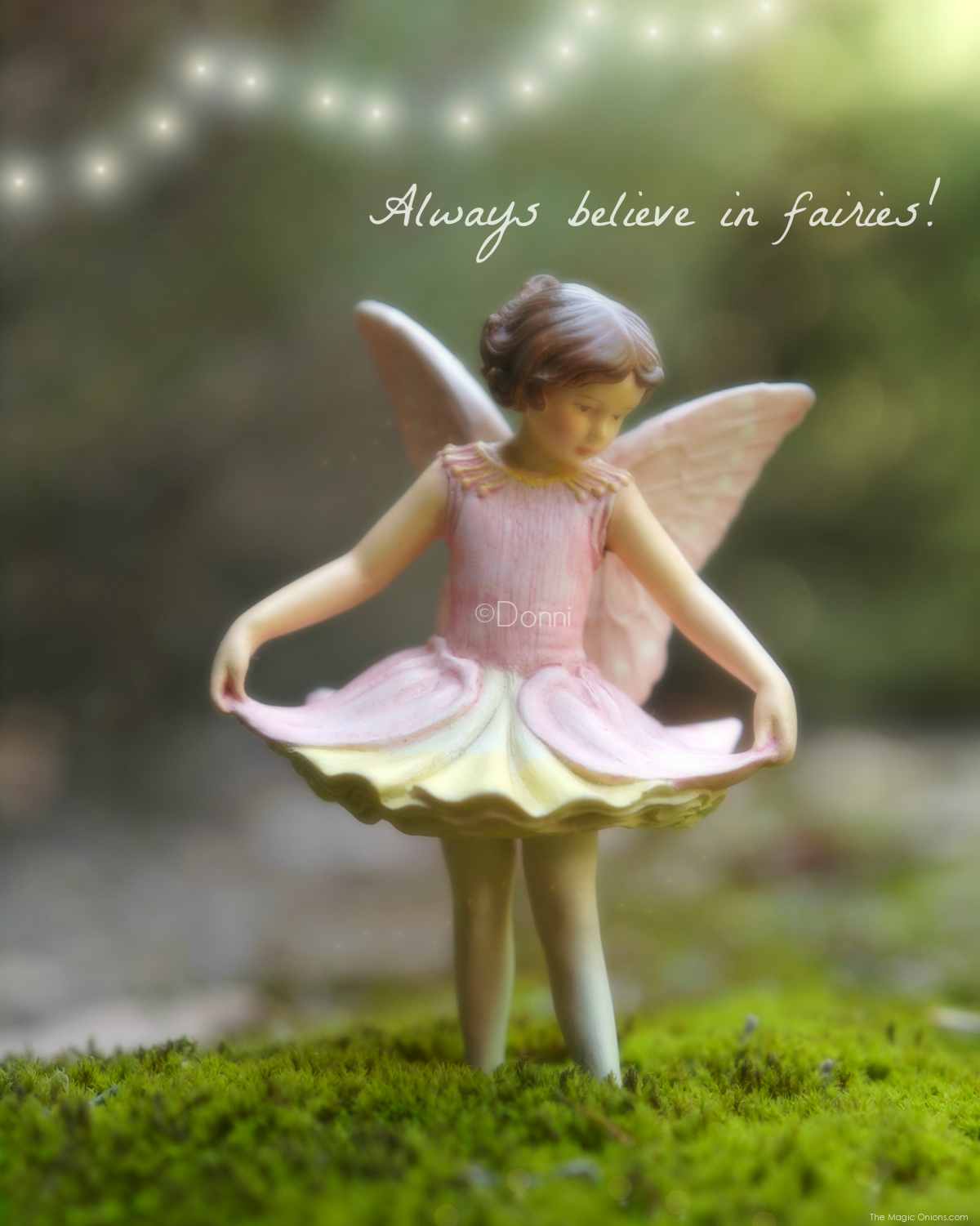 Always believe in Fairies