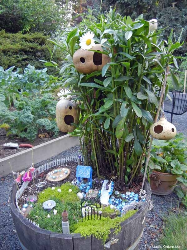 Gourd Fairy Garden : Fairy Garden Contest : www.theMagicOnions.com