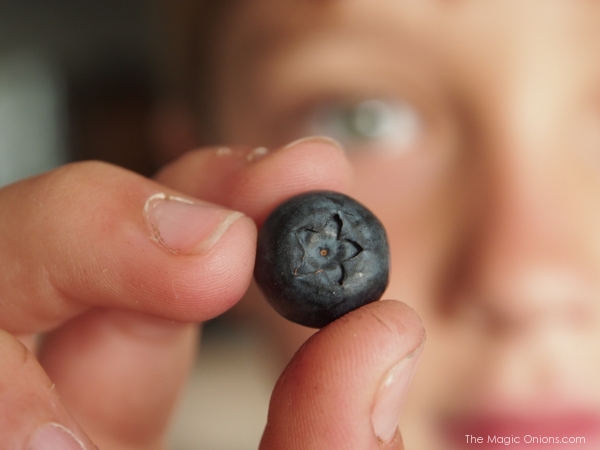 Photo of a star in a blueberry