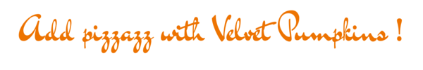 Velvet Pumpkin