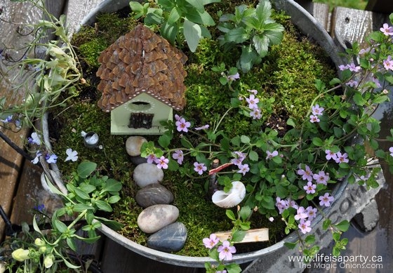 Pot Plant Fairy Garden Village : Finalist in the Fairy Garden Contest : www.theMagicOnions.com