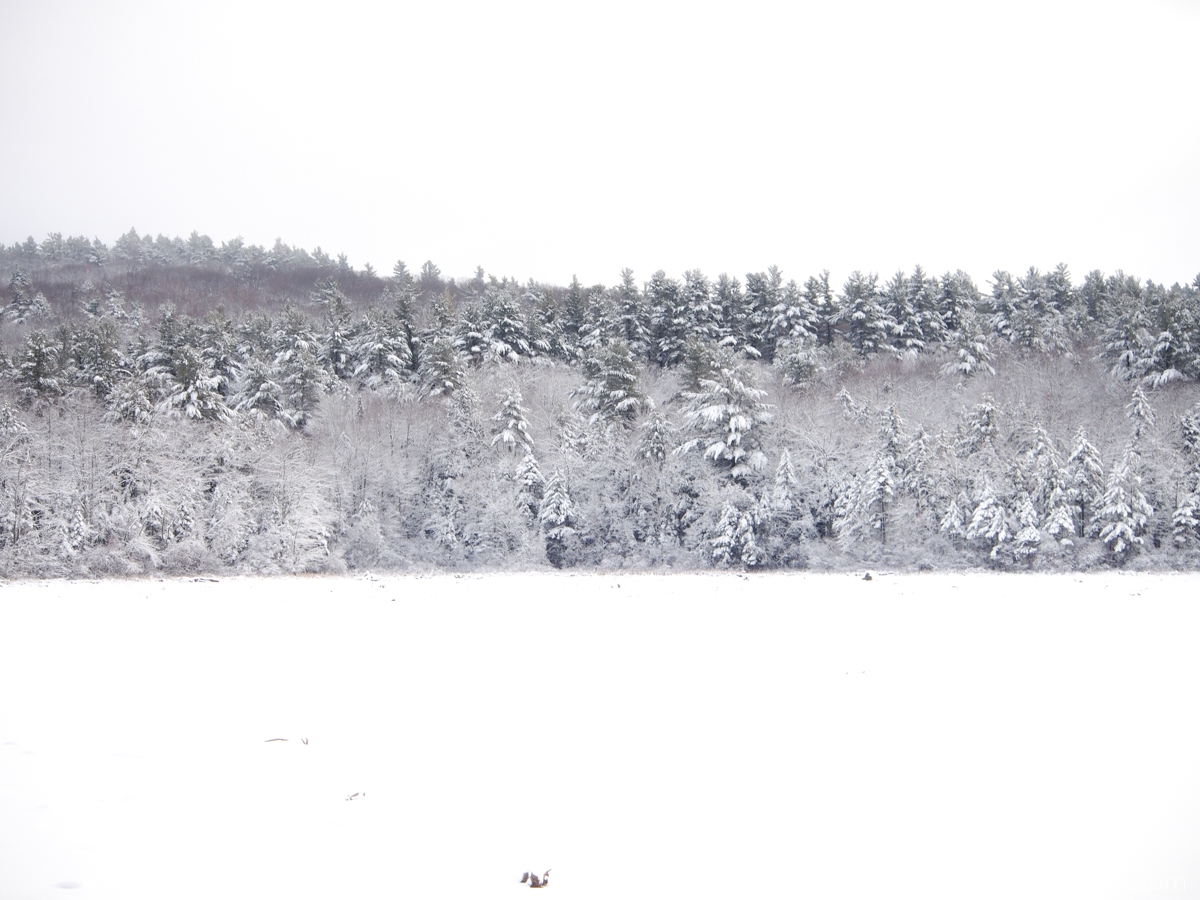 Snow in Wilton, New Hampshire -- www.theMagicOnions.com