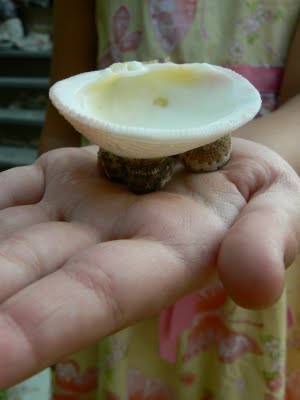a fairy bath made out of a shell