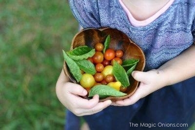 Rhythm in the Waldorf Home on Discovering Waldorf Education with The Magic Onions Blog