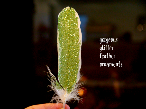 Gorgeous Glitter Feather Christmas Ornaments : www.theMagicOnions.com
