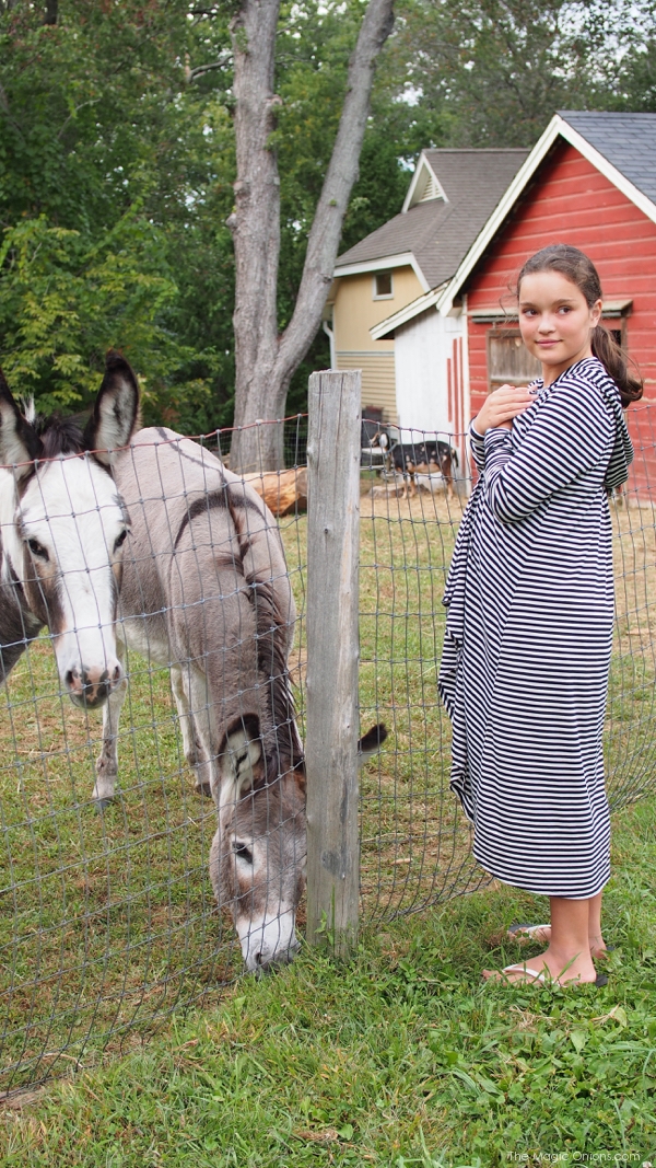 Photo of Kitty and the donkeys : www.theMagicOnions.com