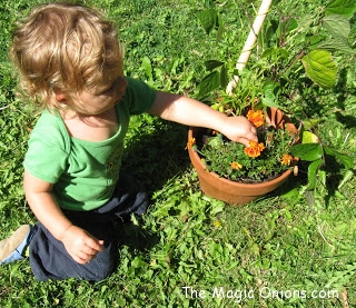 No in Waldorf Education - Discovering Waldorf - www.theMagicOnions.com