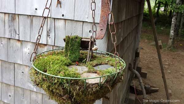 Fairy Garden in a hanging Basket : The Magic Onions