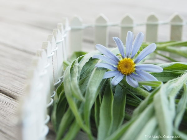 Photo of a Mini Fairy Garden White Picket Fence Accessory