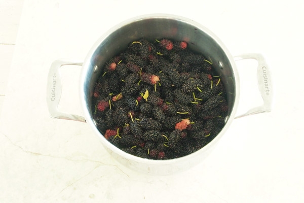 photo of a us making mulberry jam
