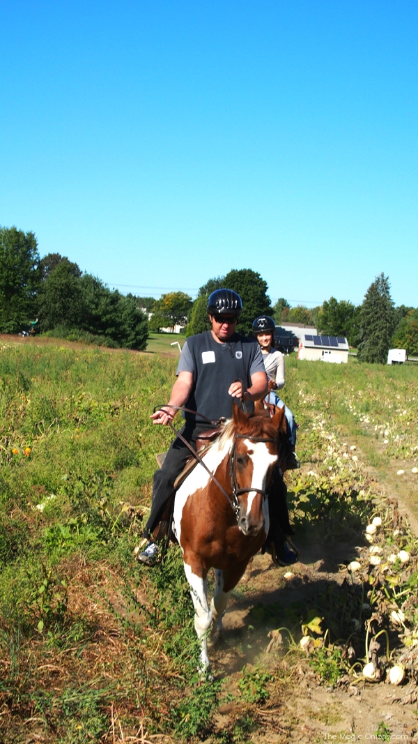 Photo of our horseback trailride : www.theMagicOnions.com