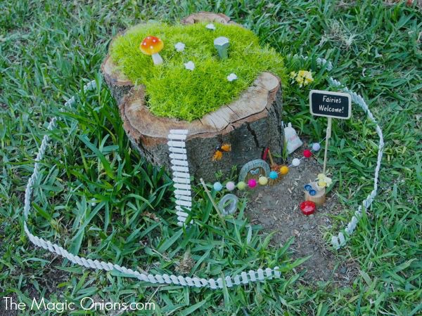 Fairy Garden : The Magic Onoions : www.theMagicOnions.com