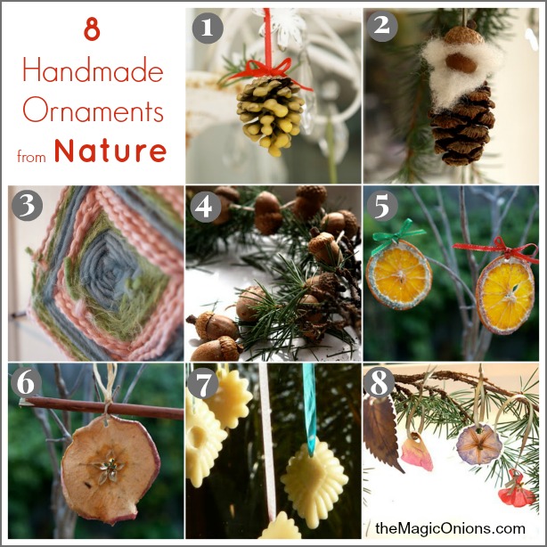 8 Handmade Christmas Ornaments From Nature - www.theMagicOnions.com