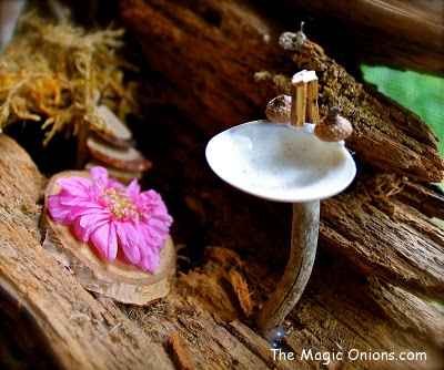 Fairy Gardens - The Magic Onions - 2013 - www.theMagicOnions.com