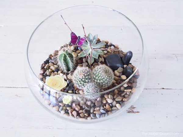 step by step photo tutorial on how to make an indoor succulent terrarium fairy garden