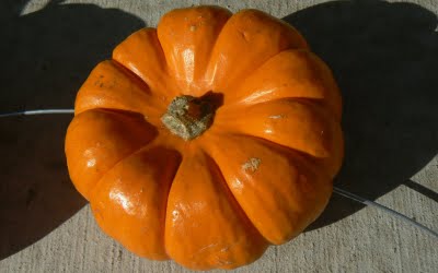 Stringing the pumpkins onto the halloween wreath
