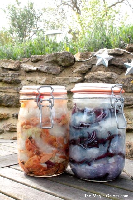 Natural Dye using the Sun - Onion Skin and Red Cabbage - www.theMagicOnions.com