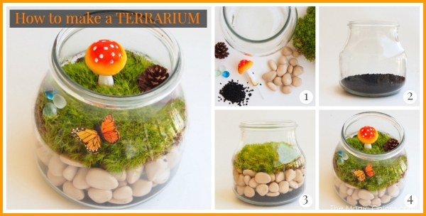 How to make a Terrarium : The Magic Onions : www.theMagicOnions.com